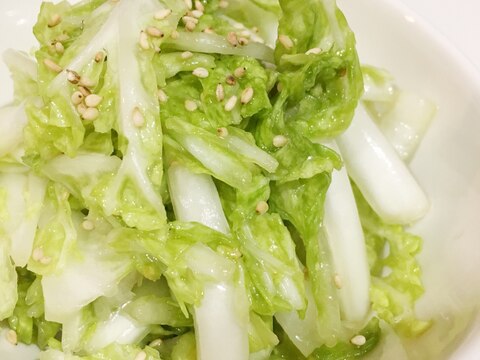 サラダ レシピ 白菜 【みんなが作ってる】 白菜